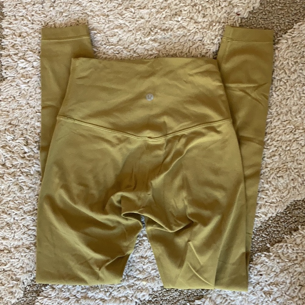 28” grape leaf high rise align size 4